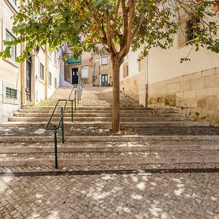 Apartment Gralhas Lisbon