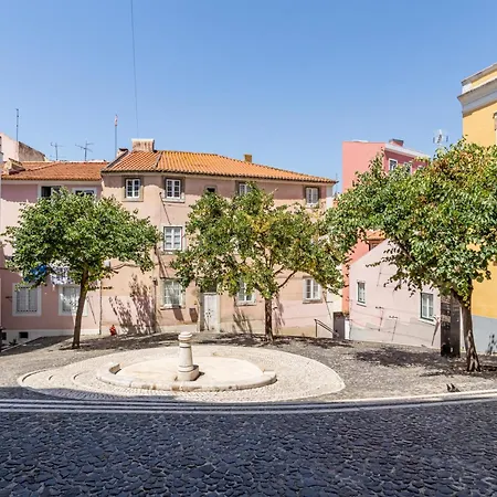 Gralhas * Lisbon