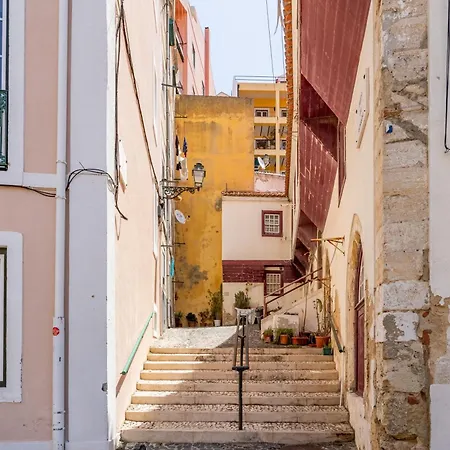 Gralhas ליסבון